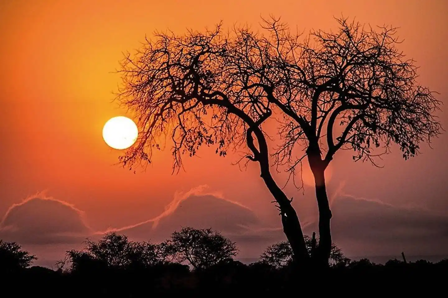 aha Skukuza Safari Lodge Landschaft