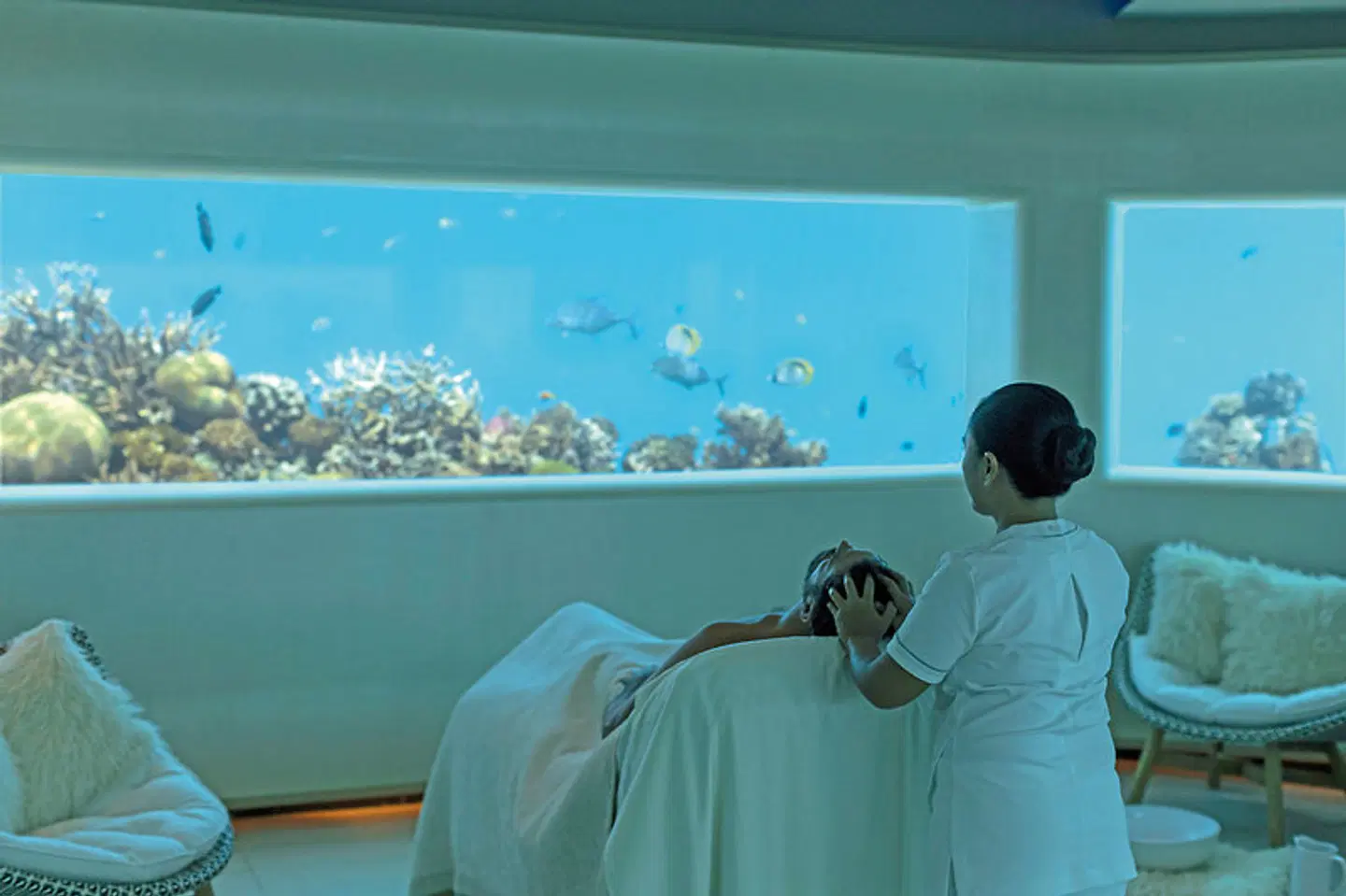 Huvafen Fushi Tiere