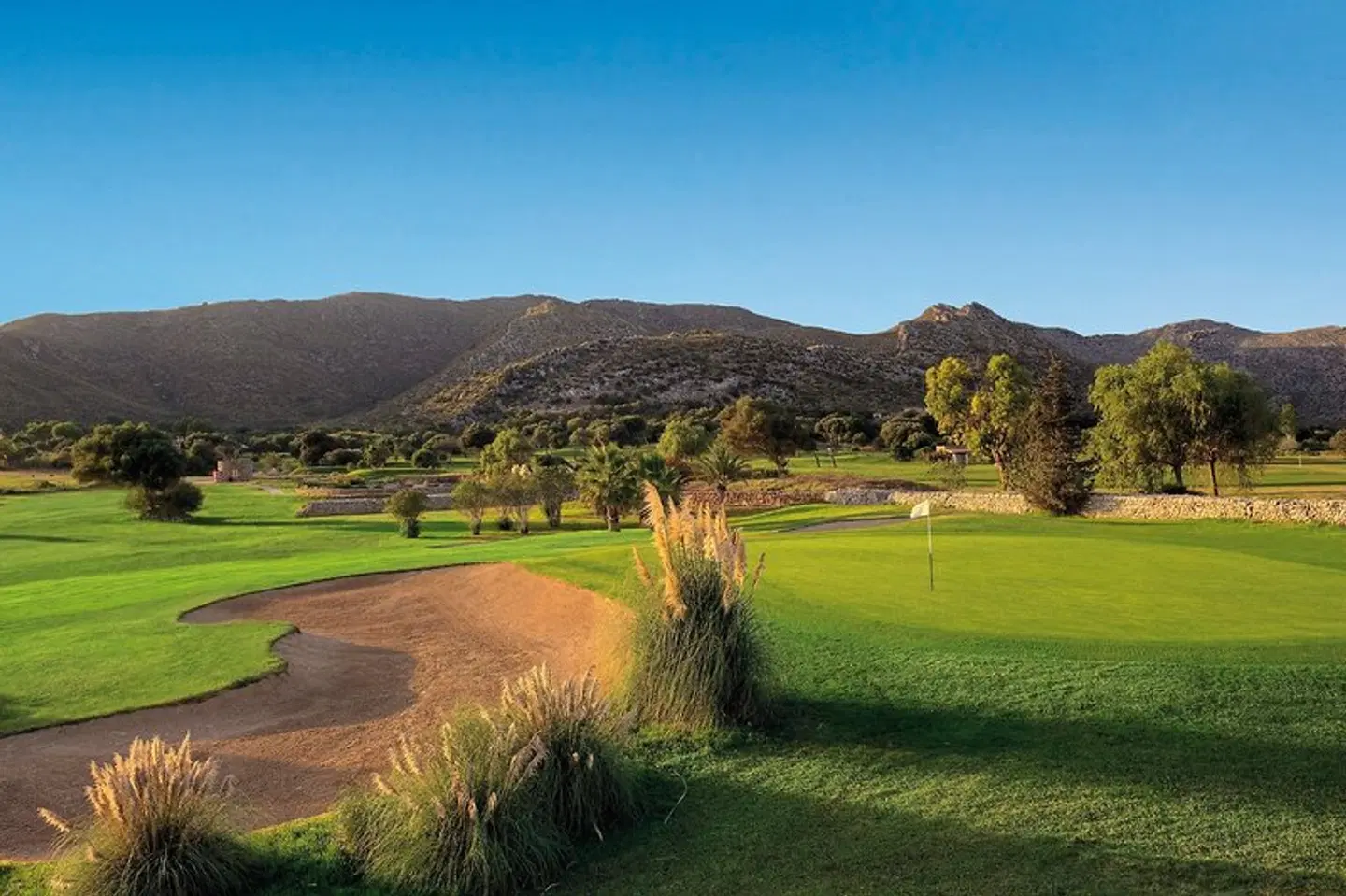 VIVA Golf Adults Only 18+ SPORTS_AND_LEISURE