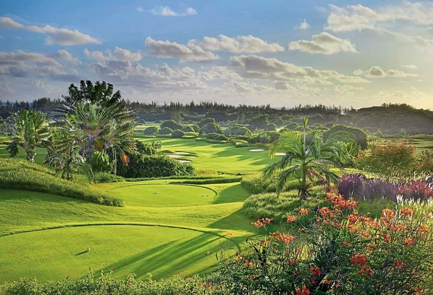 Heritage Le Telfair Golf & Wellness Resort SPORTS_AND_LEISURE