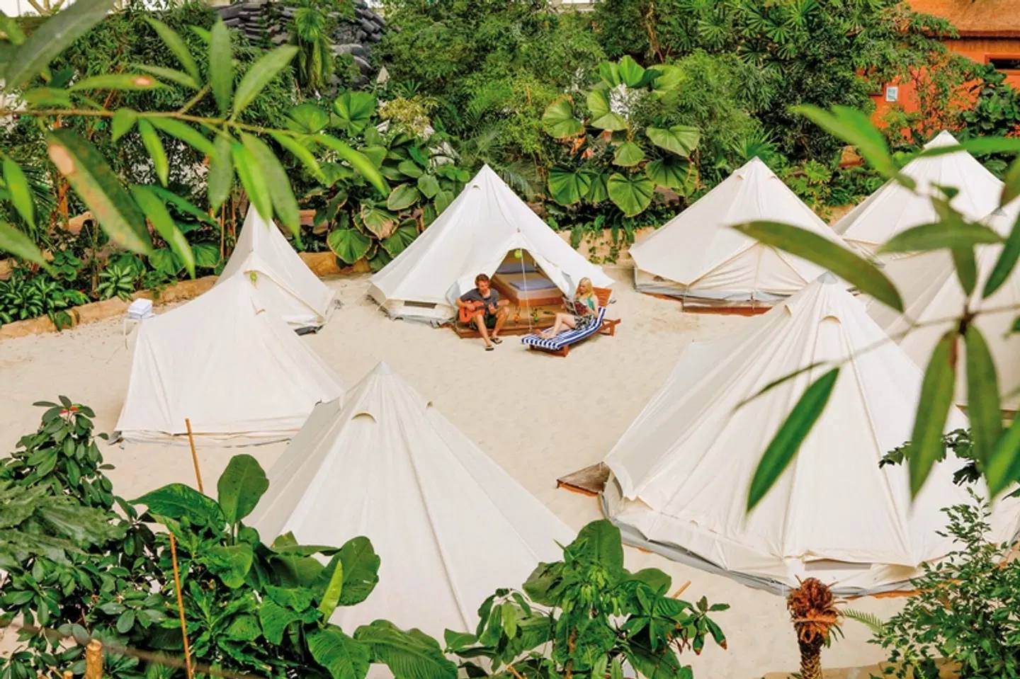 Tropical Islands Wellness