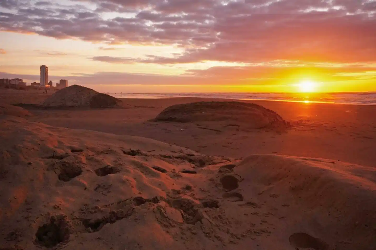 NH Zandvoort Landschaft