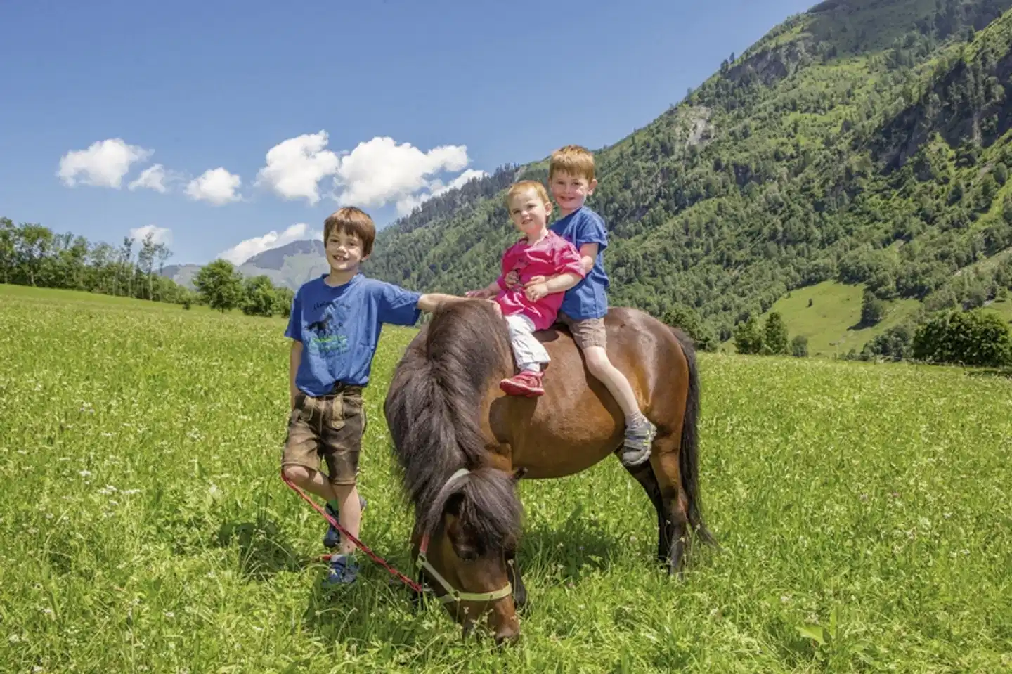 Feriendorf Ponyhof Tiere