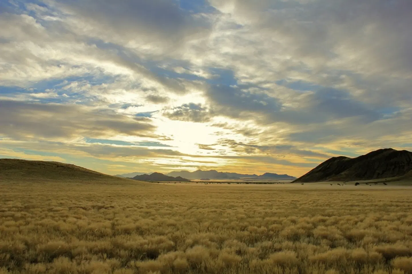 Drifters - Namibia Explorer 10 Nächte LANDSCAPE