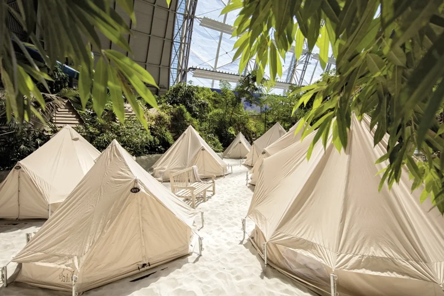 Tropical Islands Wellness