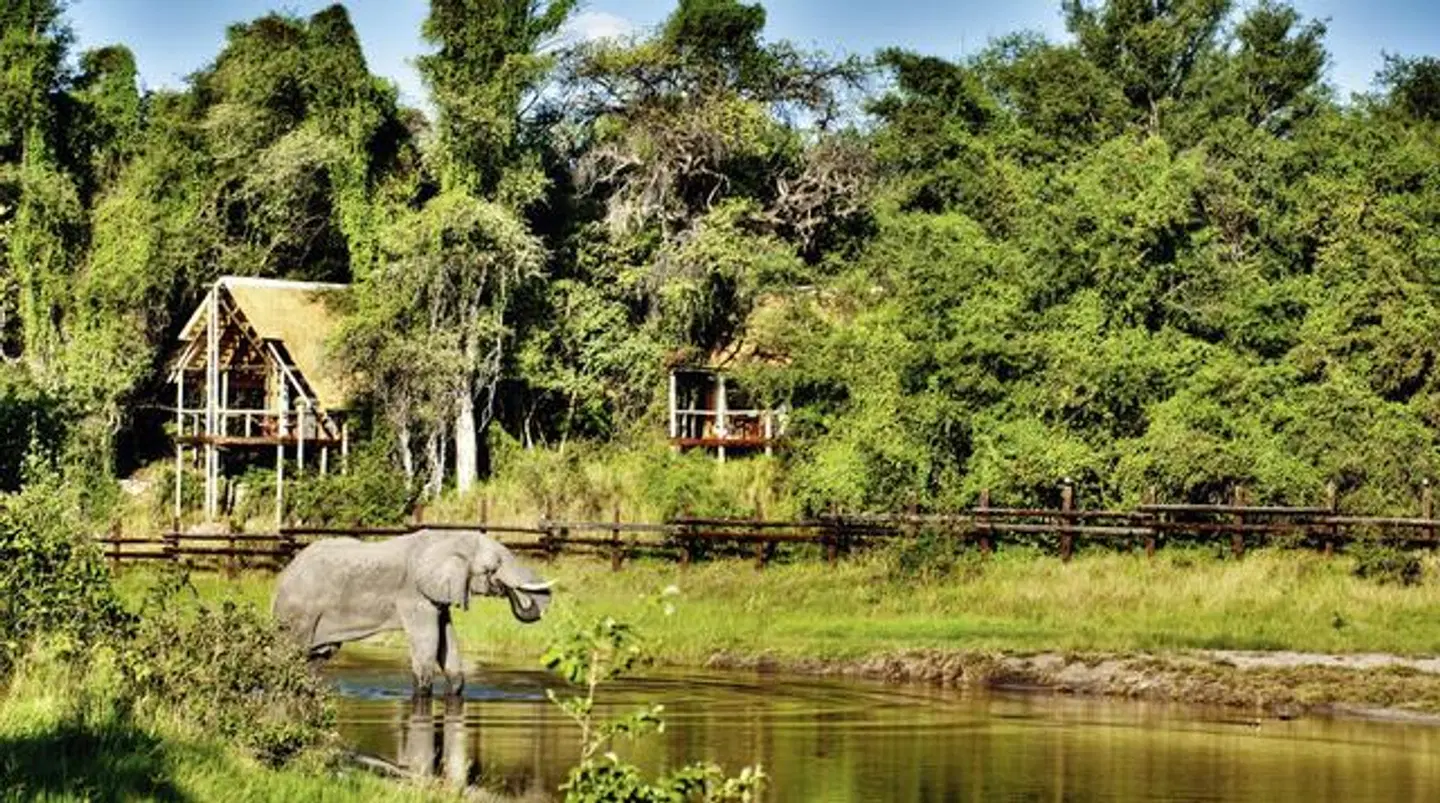 Savute Safari Lodge Tiere