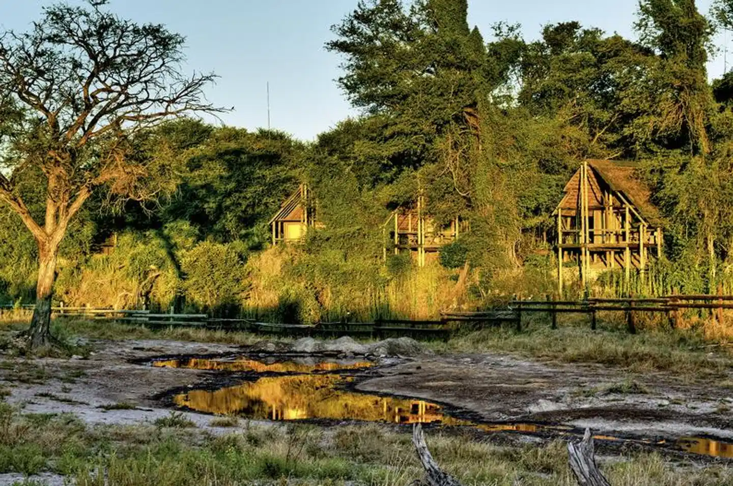 Savute Safari Lodge Landschaft