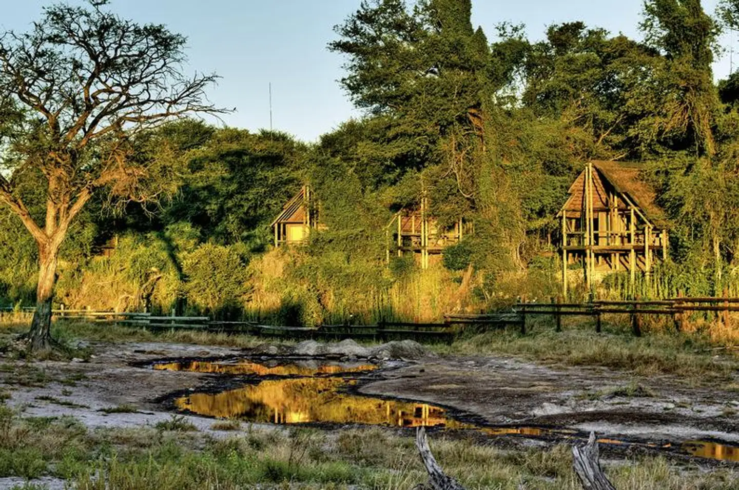 Savute Safari Lodge Landschaft