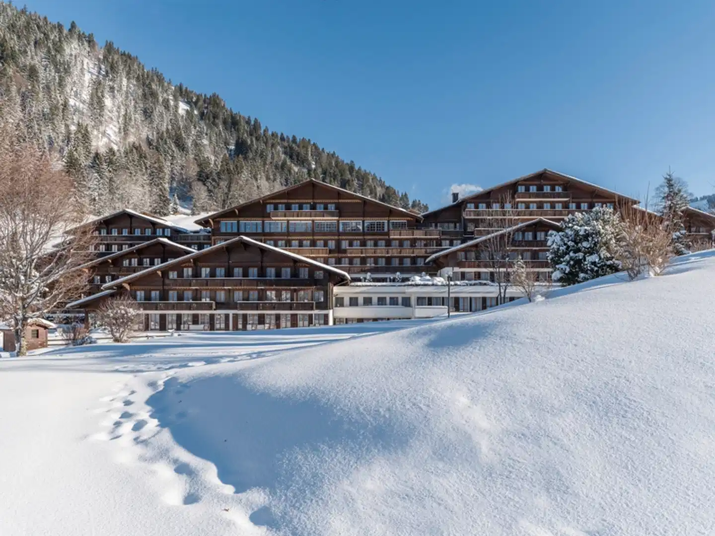 HUUS Gstaad Hotel Pool