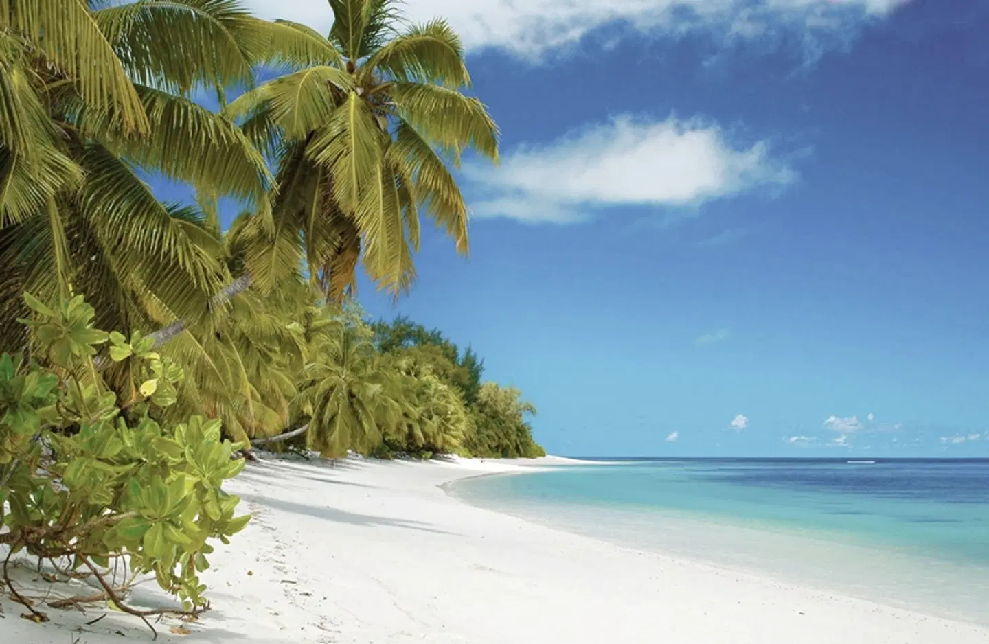 Four Seasons Resort Seychelles at Desroches Island Strand