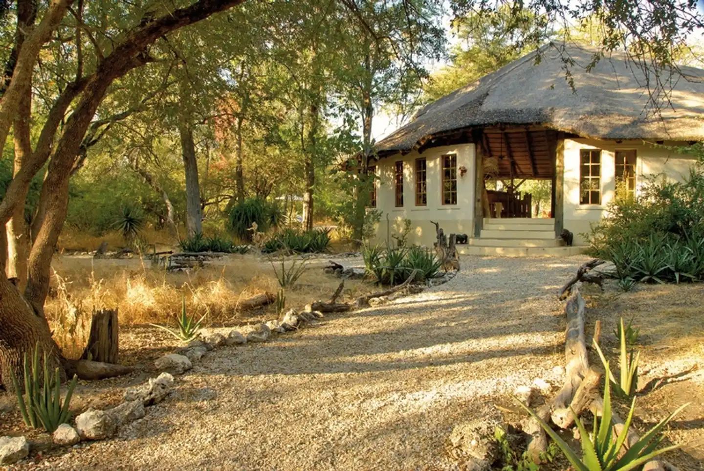 Onguma Forest Camp Garten