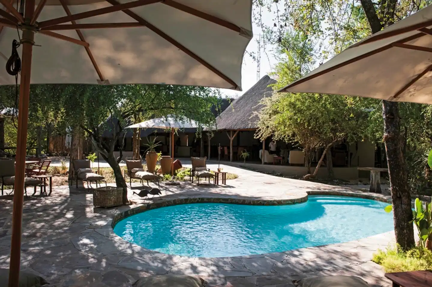 Onguma Forest Camp Pool