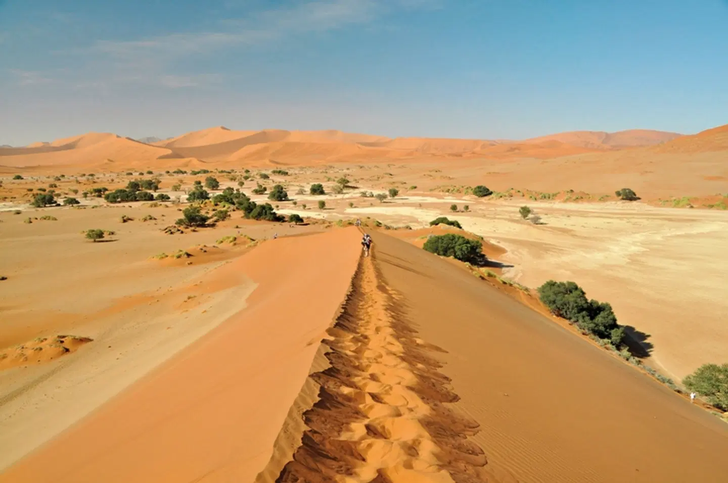 Unter Afrikas Sternen - Namibia im Dachzelt erleben LANDSCAPE