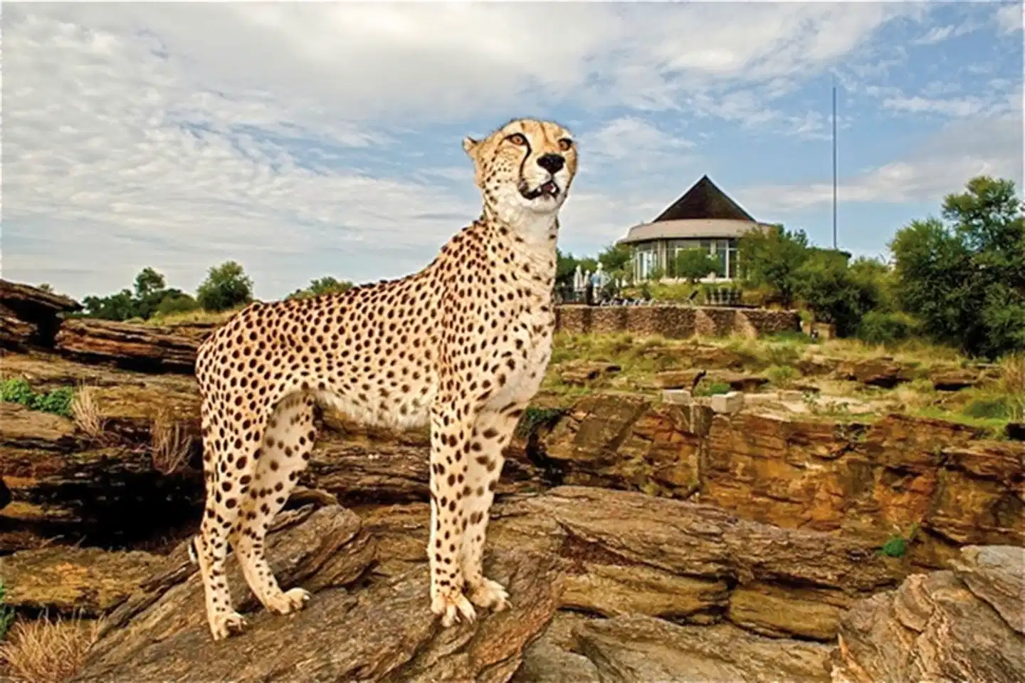 Naankuse Lodge Tiere