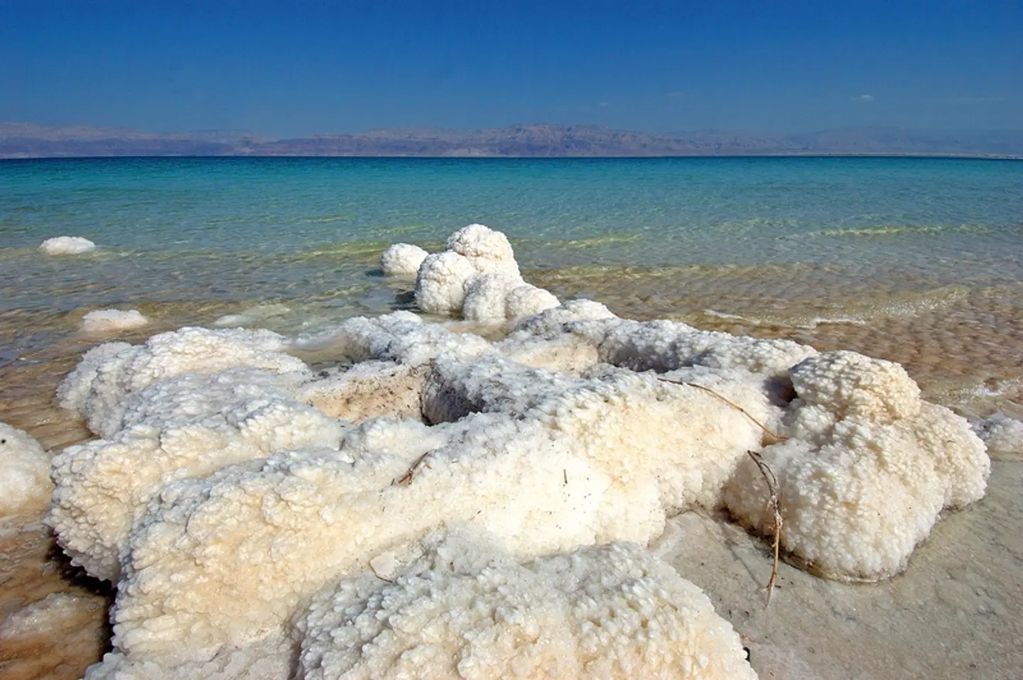 Magisches Jordanien - Kulturwunder, Wüstenzauber und Totes Meer Tiere