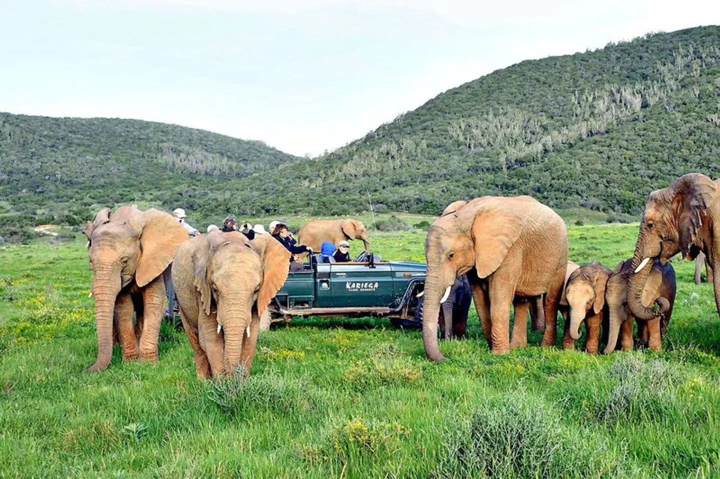 Gartenroute zum Verweilen Tiere