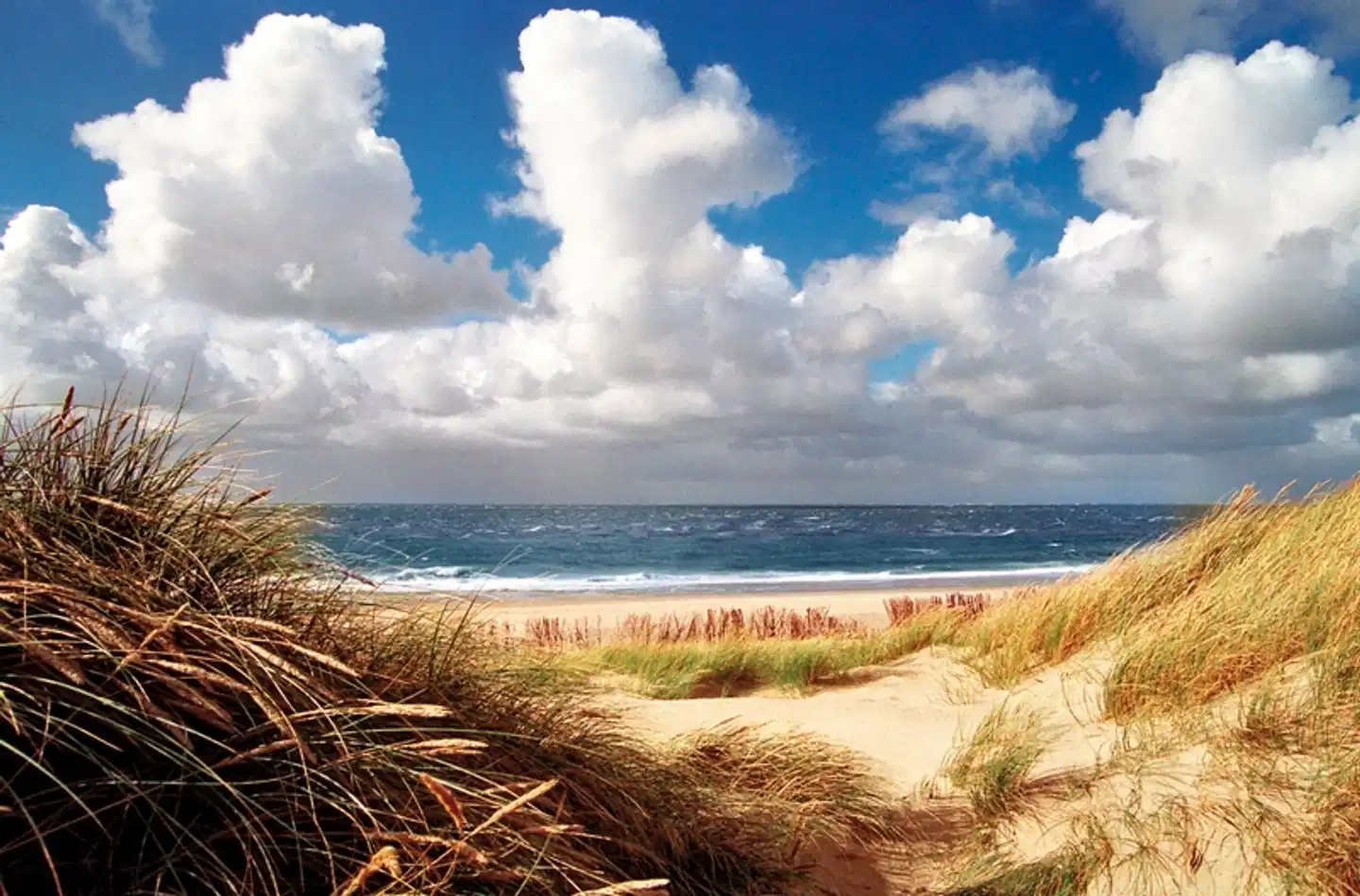 Apartments Roth am Strande Strand