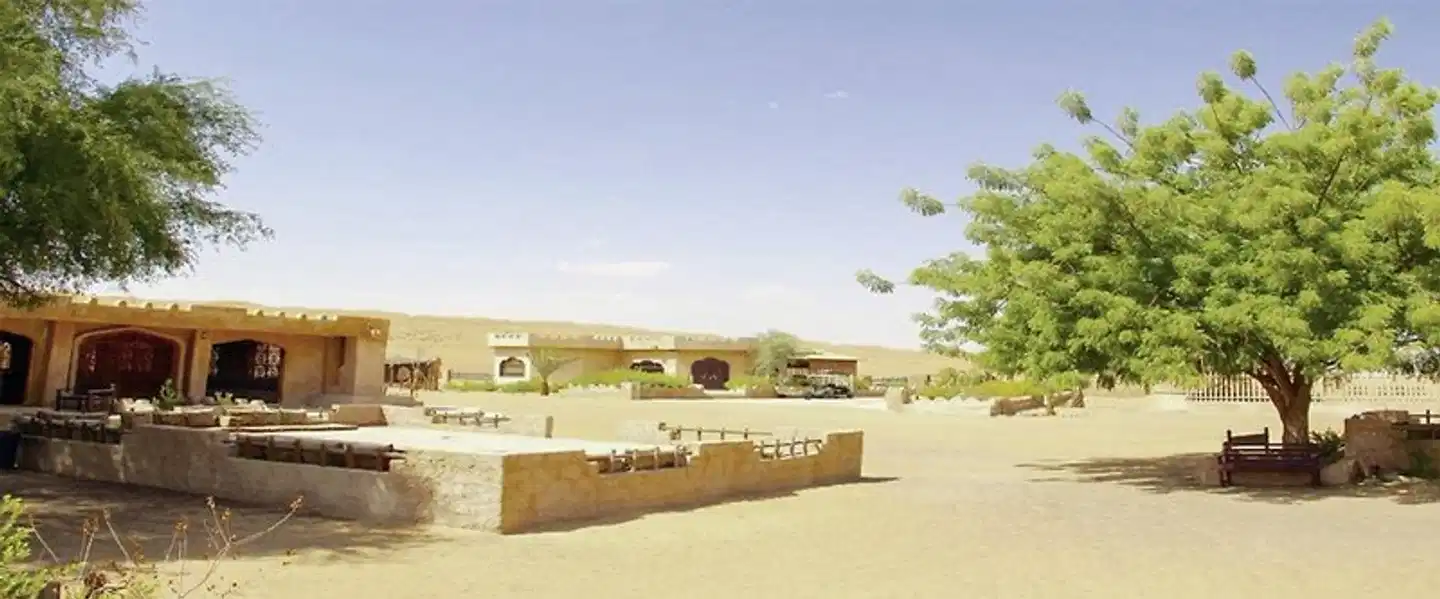 Arabian Oryx Camp Strand