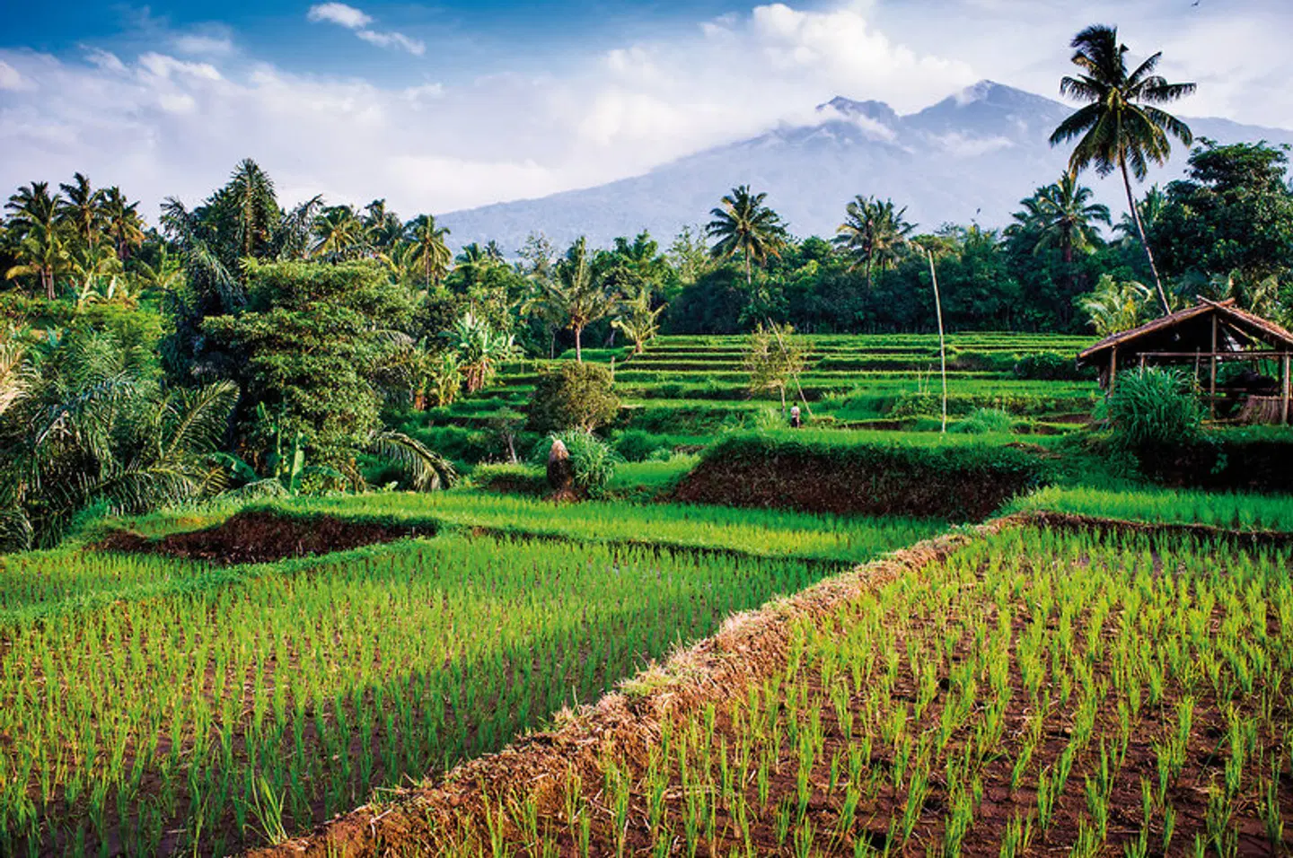 Bali intensiv (Gruppenreise) Garten
