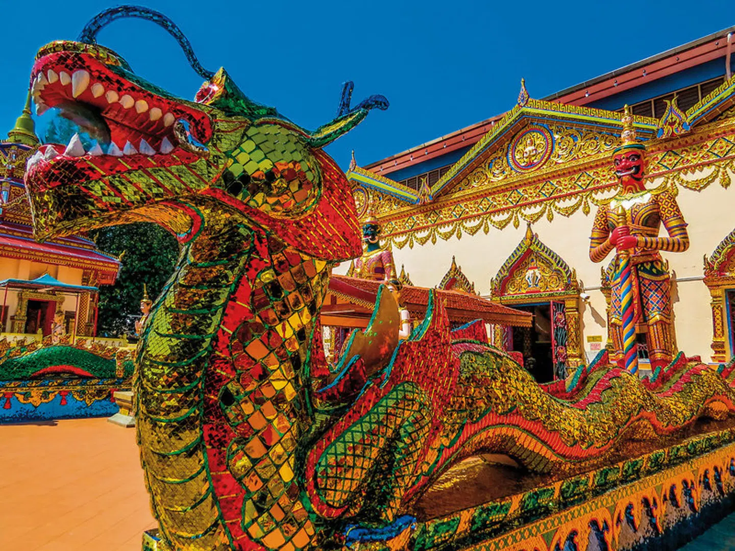 Malaysia Kaleidoskop (Gruppenreise) Tiere