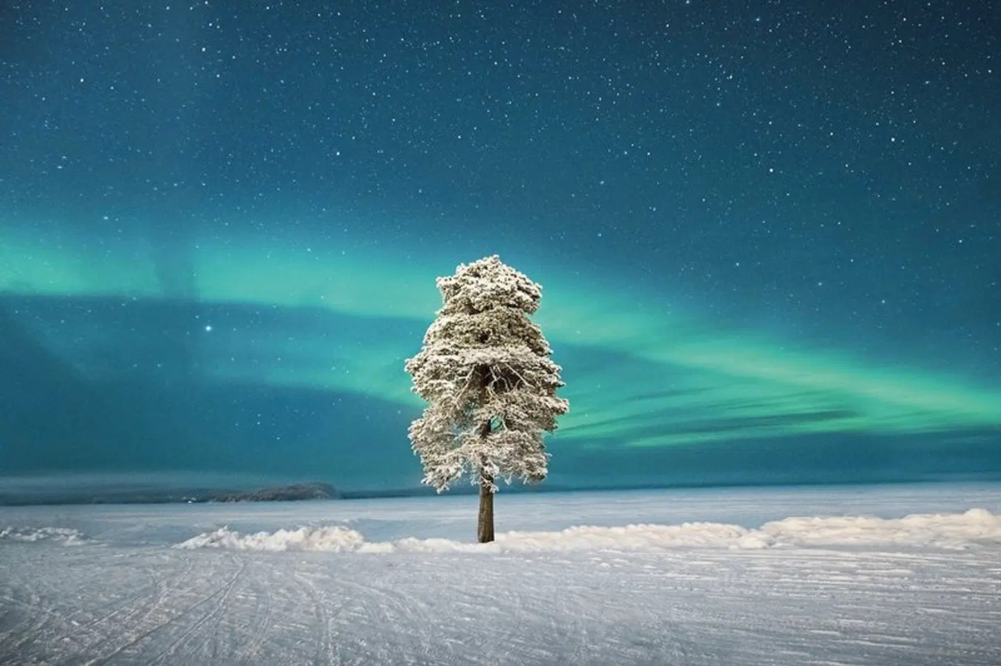 Wildnis unter dem Polarlicht - Inari Strand