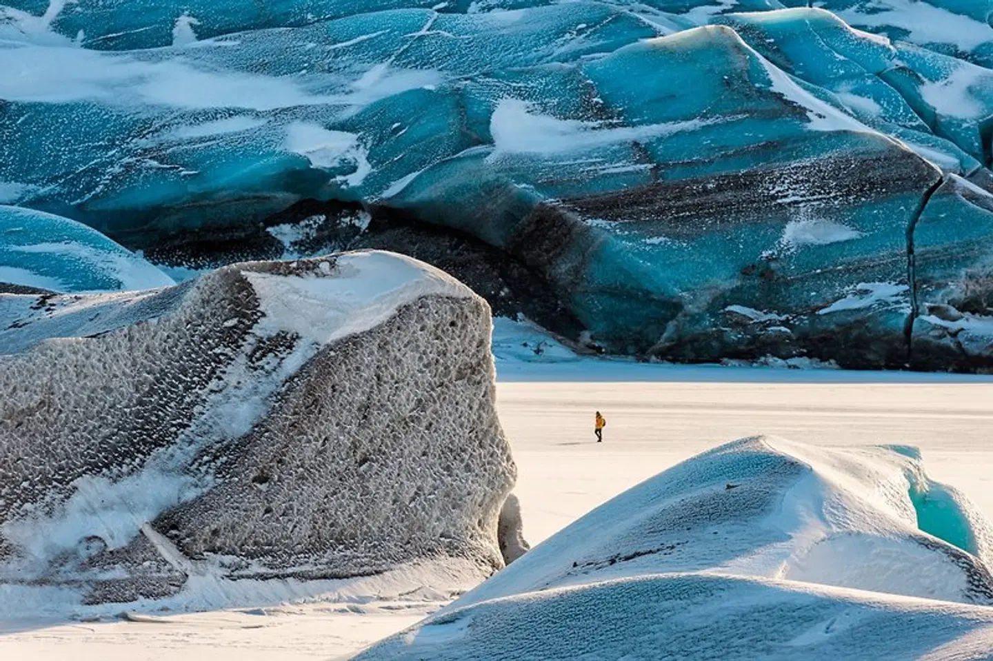 Erlebnis Island - Gletscher, Eishöhlen und Polarlichter Tiere