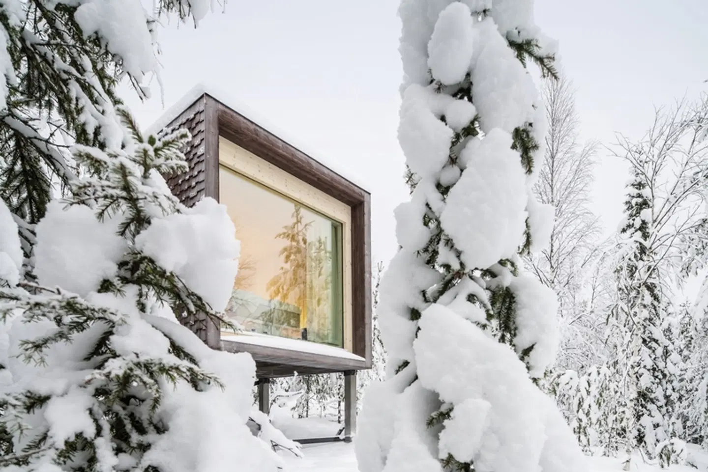 Arctic TreeHouse Hotel EXTERIOR