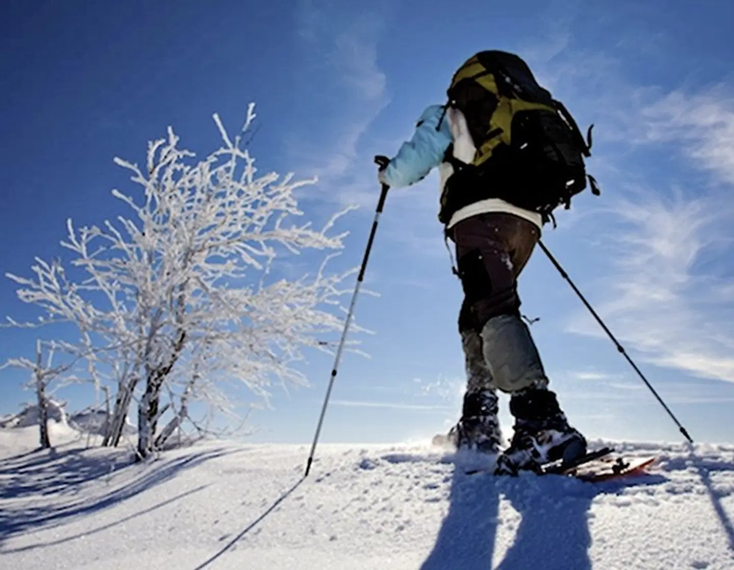 Winterabenteuer in der Arctic Panorama Lodge SPORTS_AND_LEISURE
