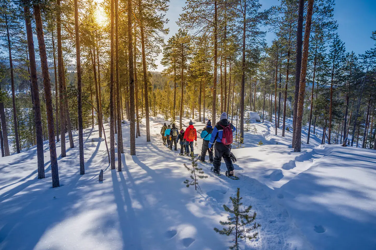 Wildnis unter dem Polarlicht - Inari SPORTS_AND_LEISURE