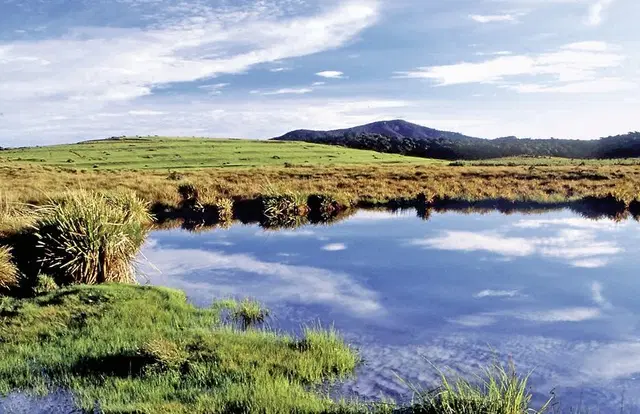 Sri Lankas kulturelle Höhepunkte und das Hochland (Privatreise) LANDSCAPE