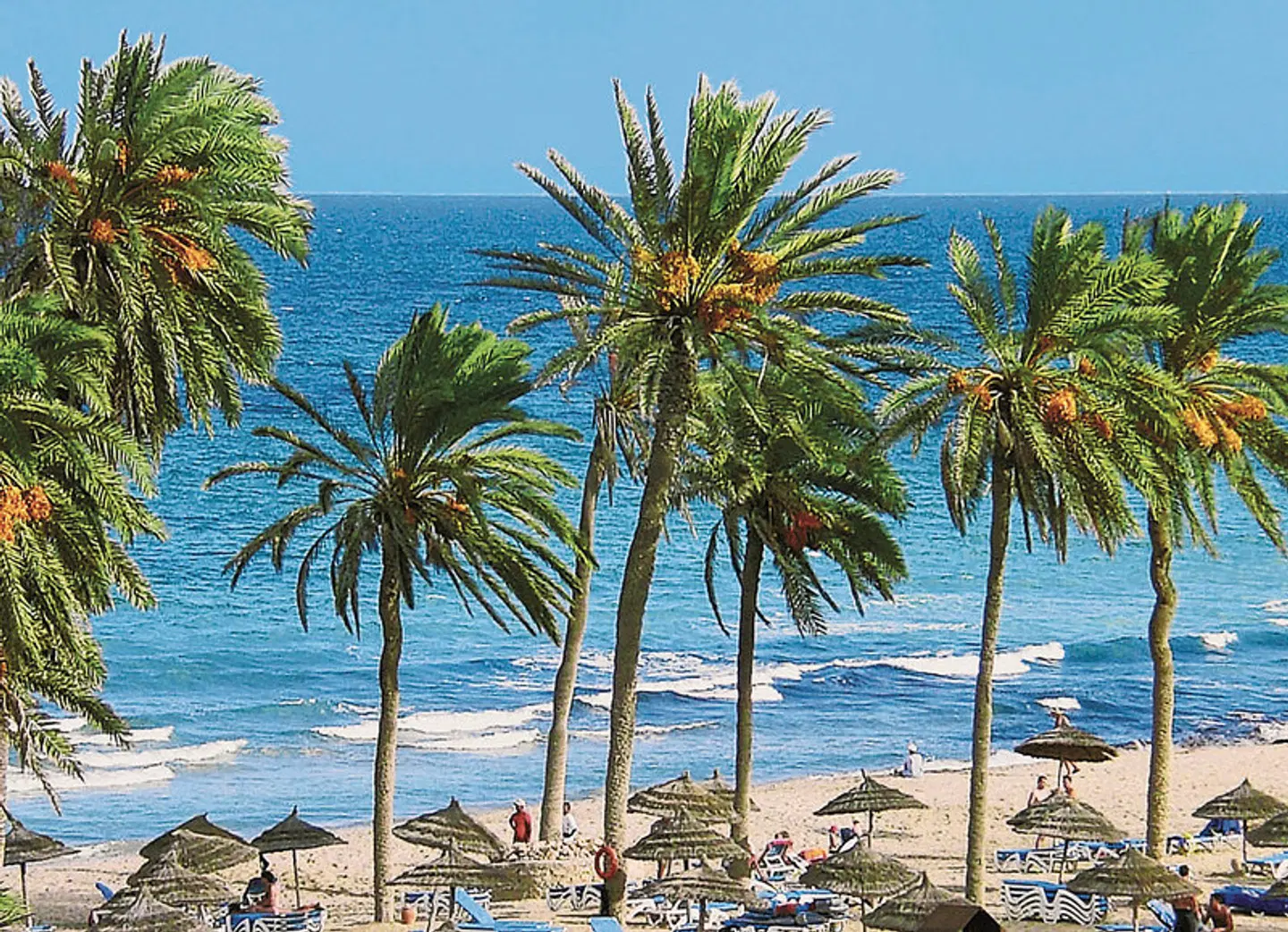 Zephir Strand