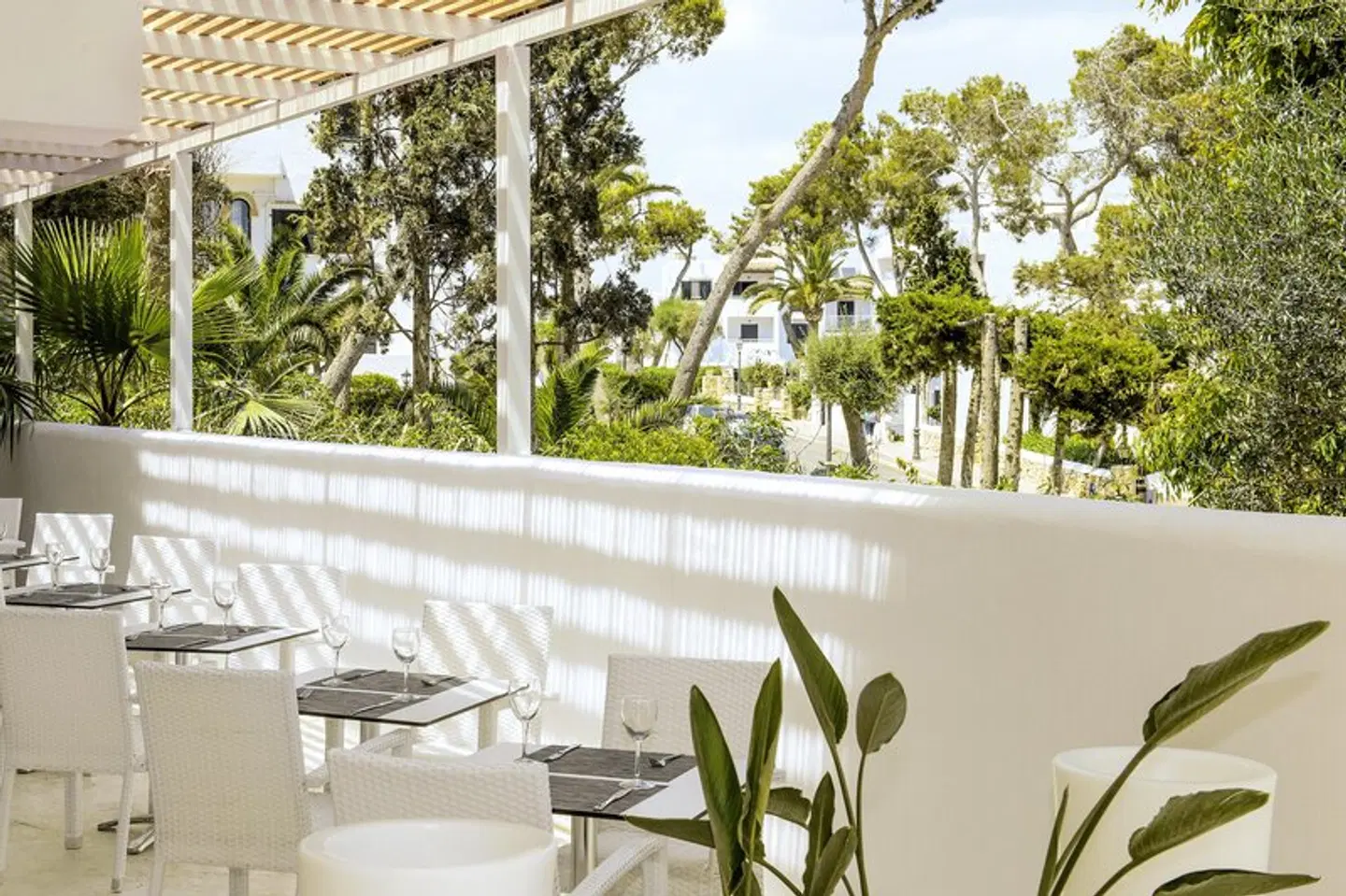 Sentido Fido Tucan TERRACE