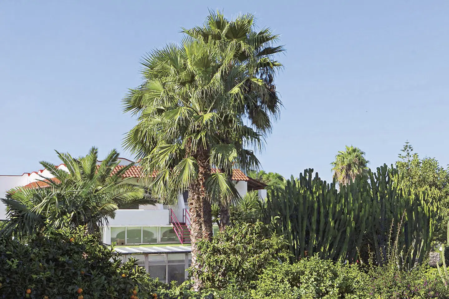 Park Hotel Terme Mediterraneo Garten