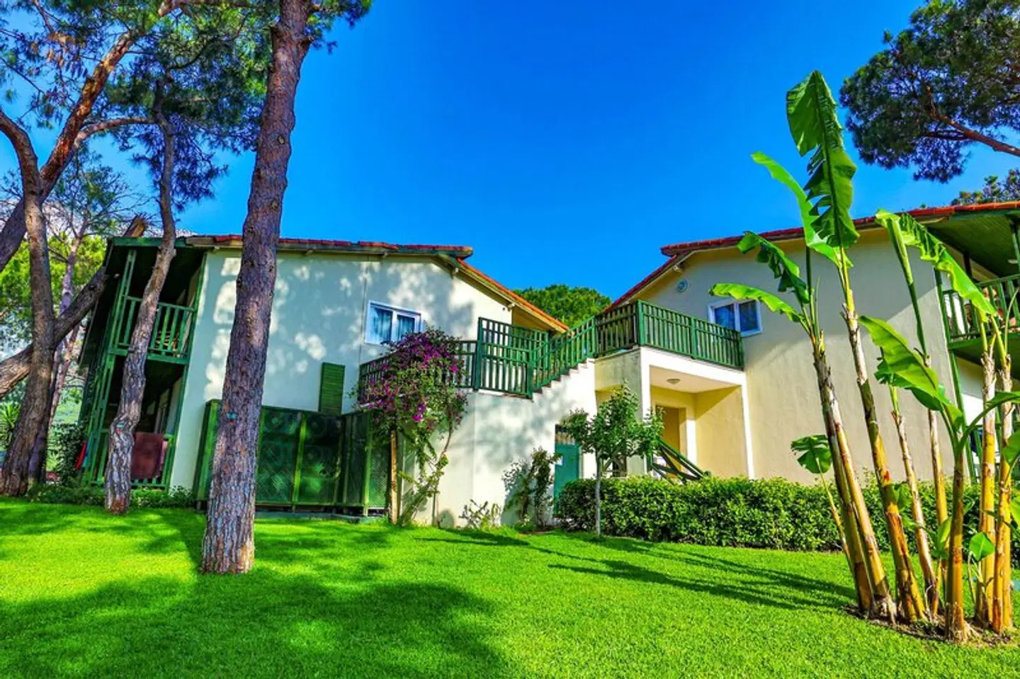 Crystal Flora Pearl Collection EXTERIOR
