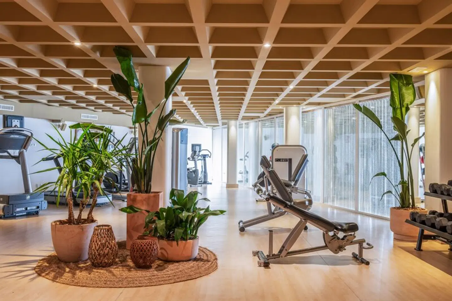 Zel Mallorca SPORTS_AND_LEISURE