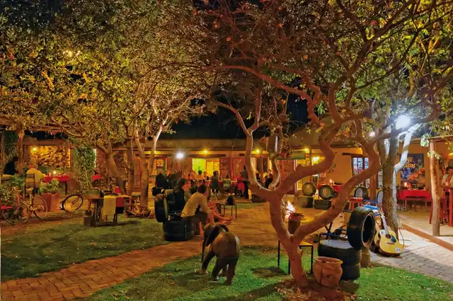 Etosha Safari Camp Tiere