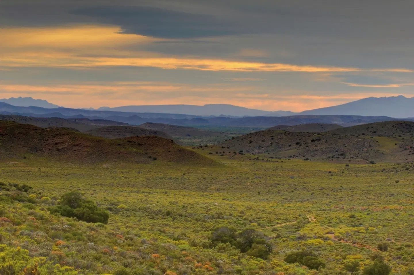Sanbona Wildlife Reserve LANDSCAPE