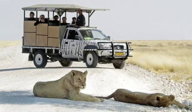Etosha Safari Camp SPORTS_AND_LEISURE