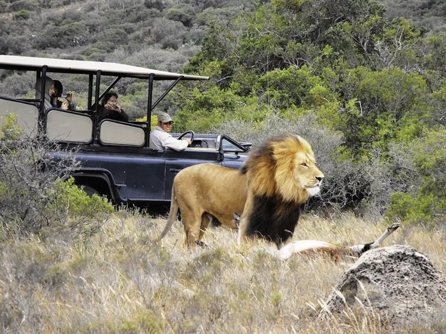 Amakhala Private Game Reserve Tiere