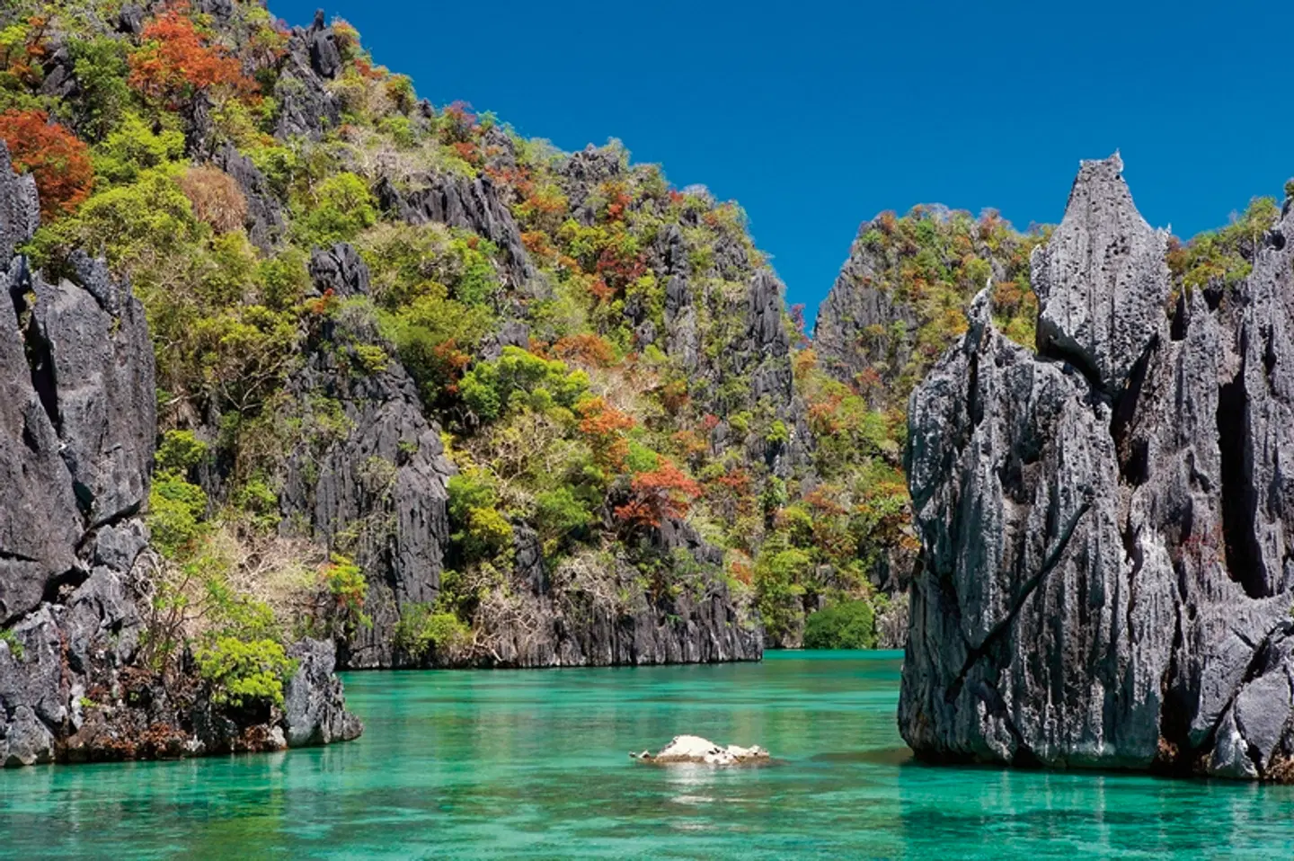 Palawan - Die wilde Schönheit der Philippinen LANDSCAPE