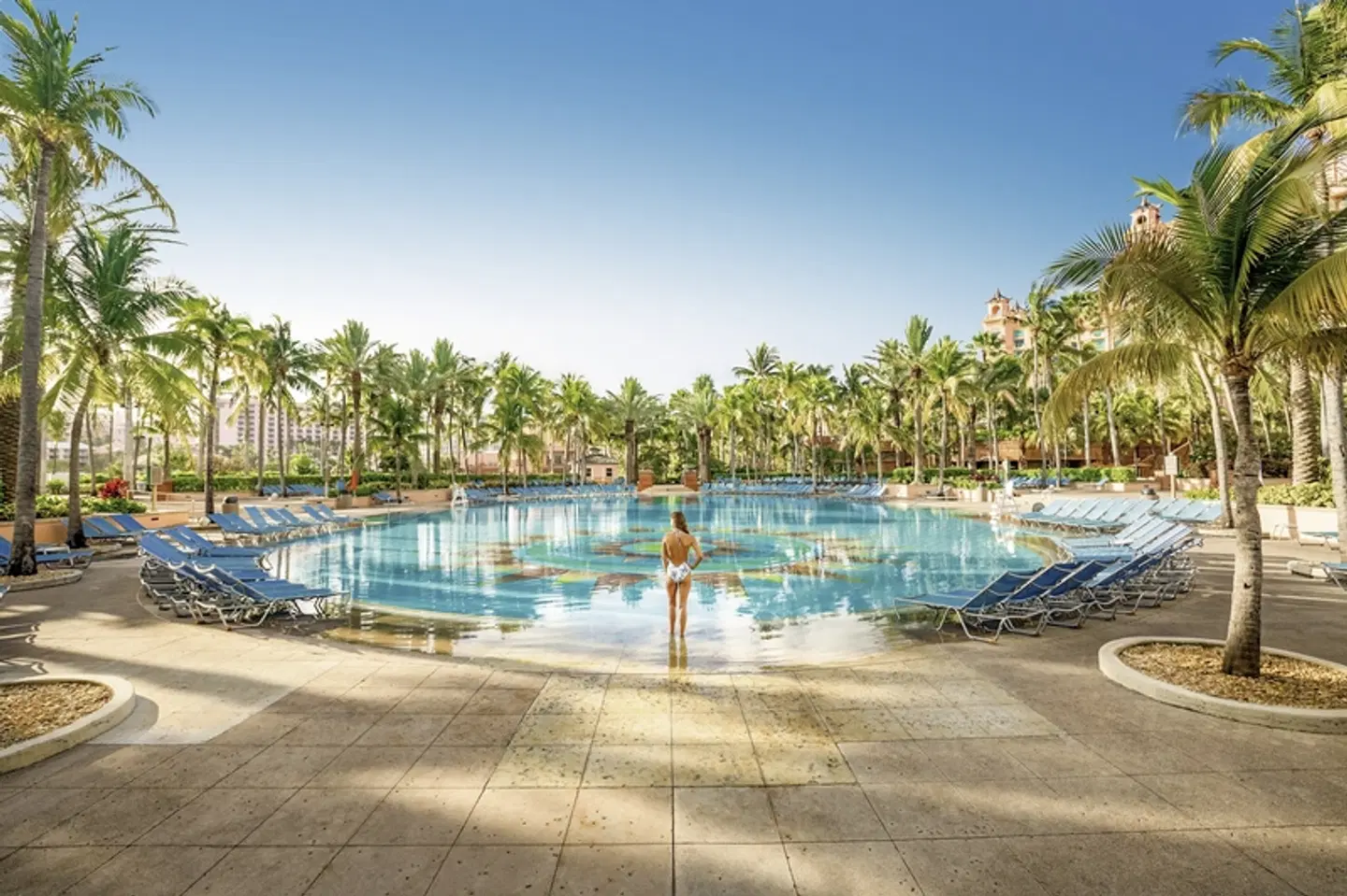 The Reef at Atlantis Pool