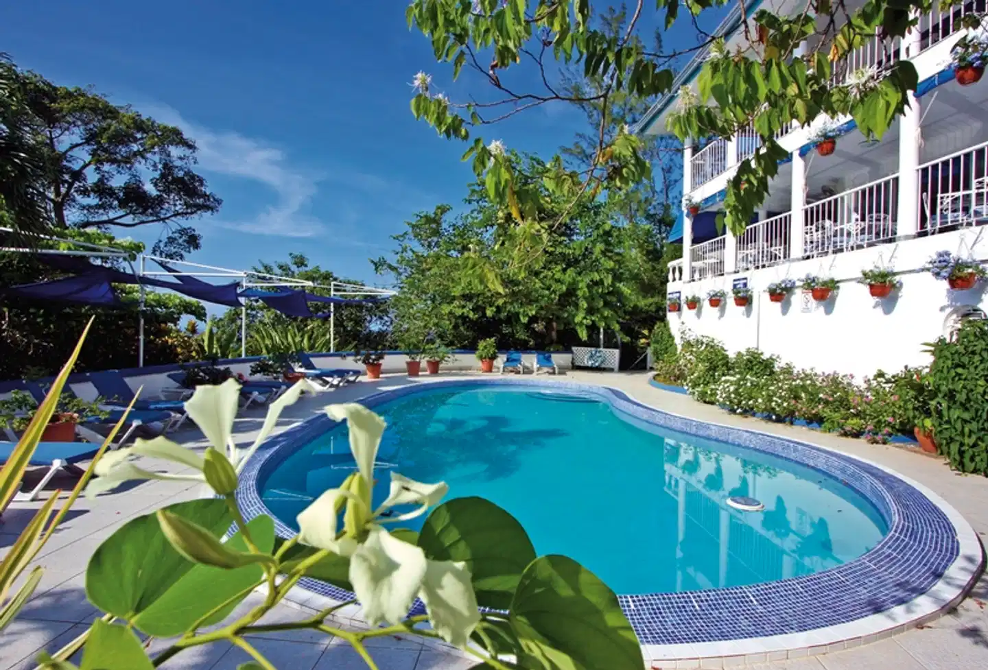 Mockingbird Hill Pool