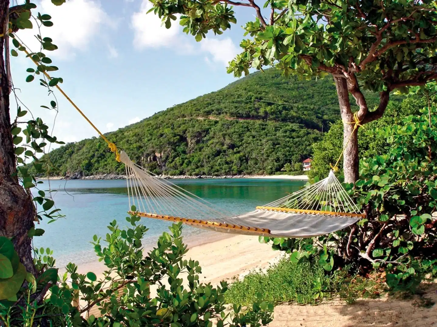 Mango Bay Resort Landschaft