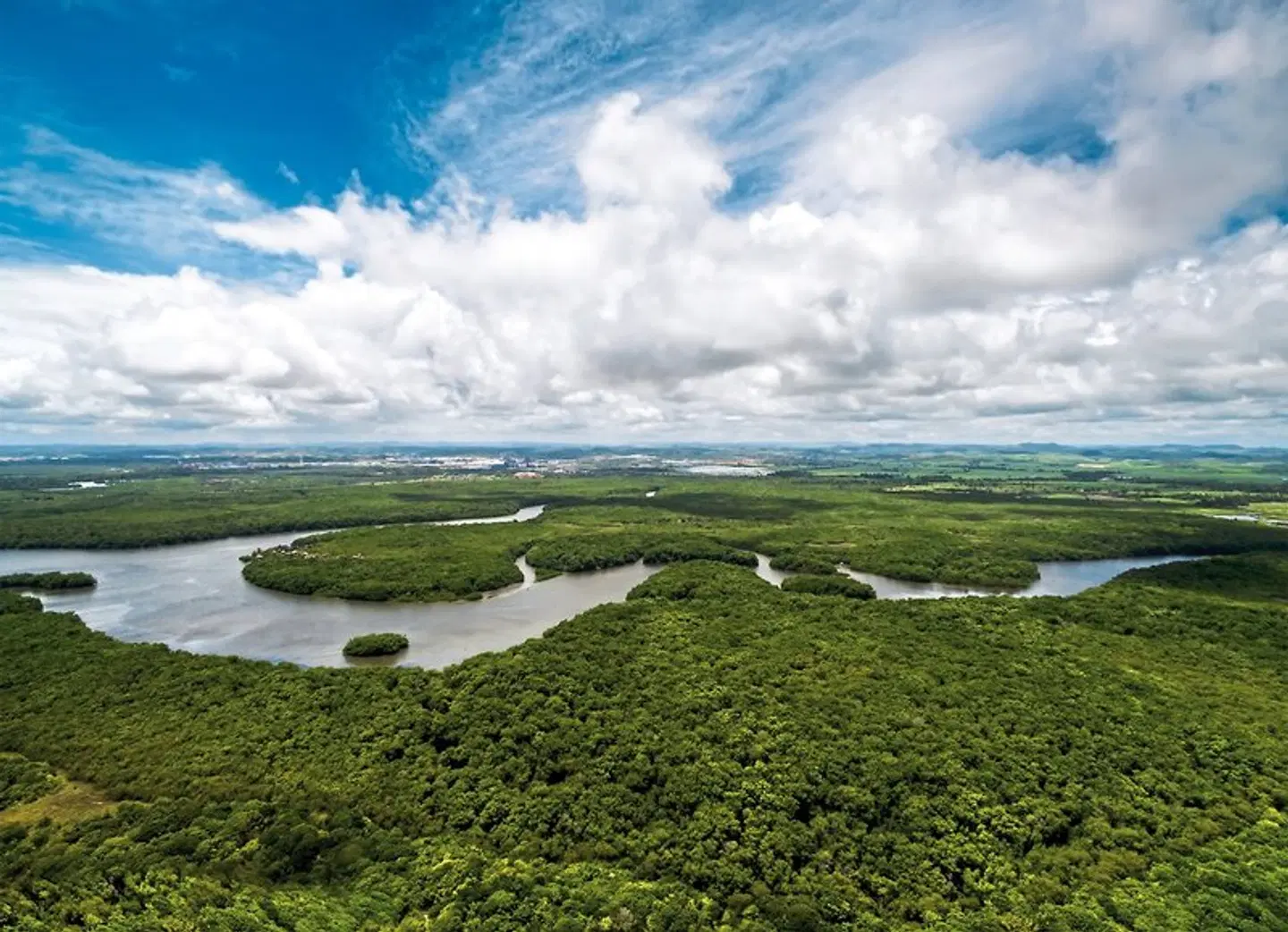 Brasilianisches Quartett LANDSCAPE