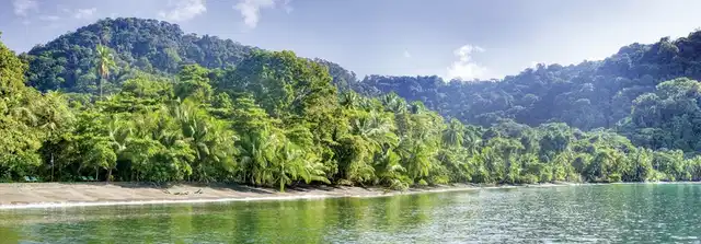 Playa Nicuesa Rainforest Lodge Landschaft