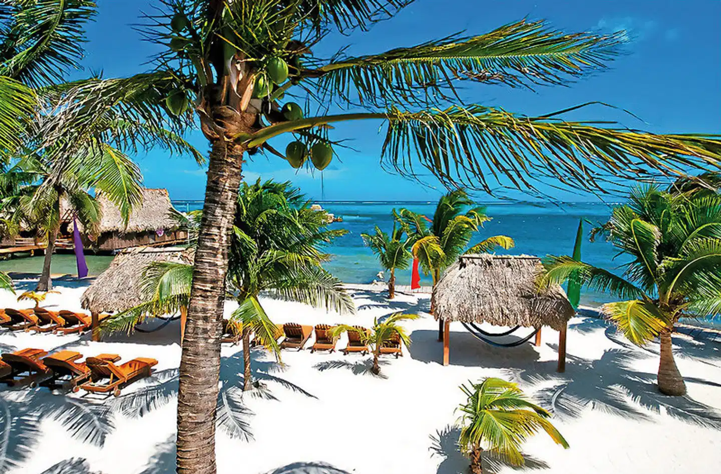 Ramon's Village Resort Terrasse