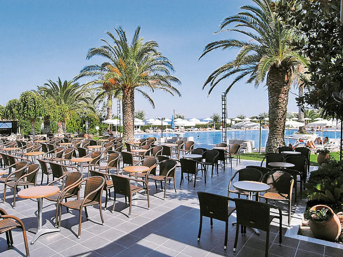 Cathrin Terrasse