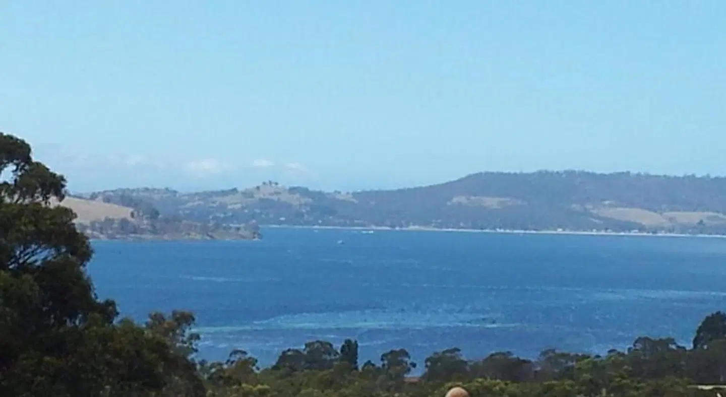 Waterview Gardens B&B LANDSCAPE