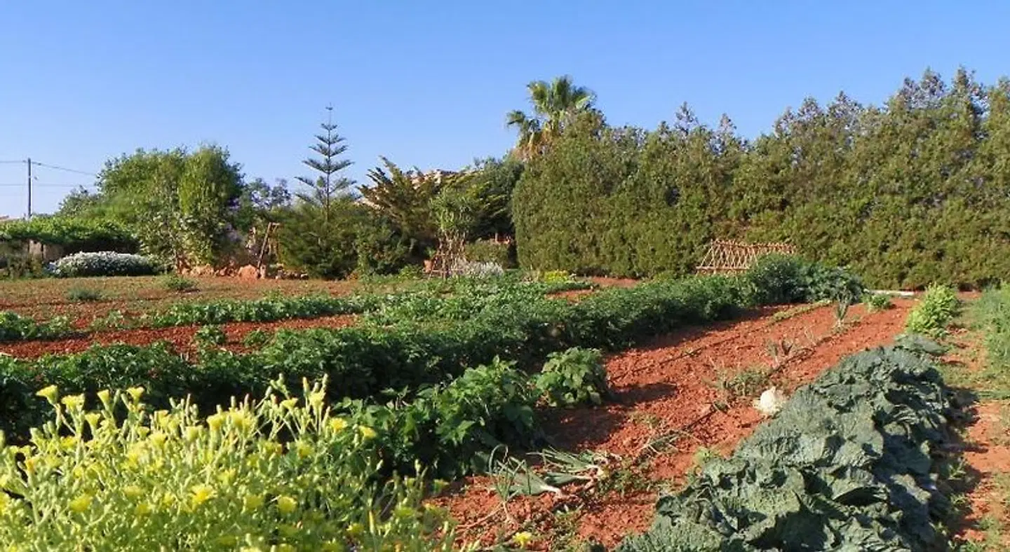 Can Bessol LANDSCAPE