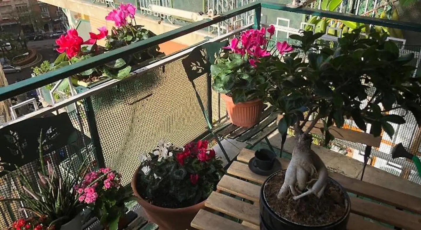 B&B da Vito a San Martino Terrasse